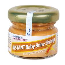 instant baby brine shrimp review