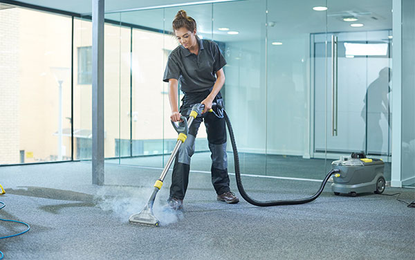 professional carpet cleaning company reviews