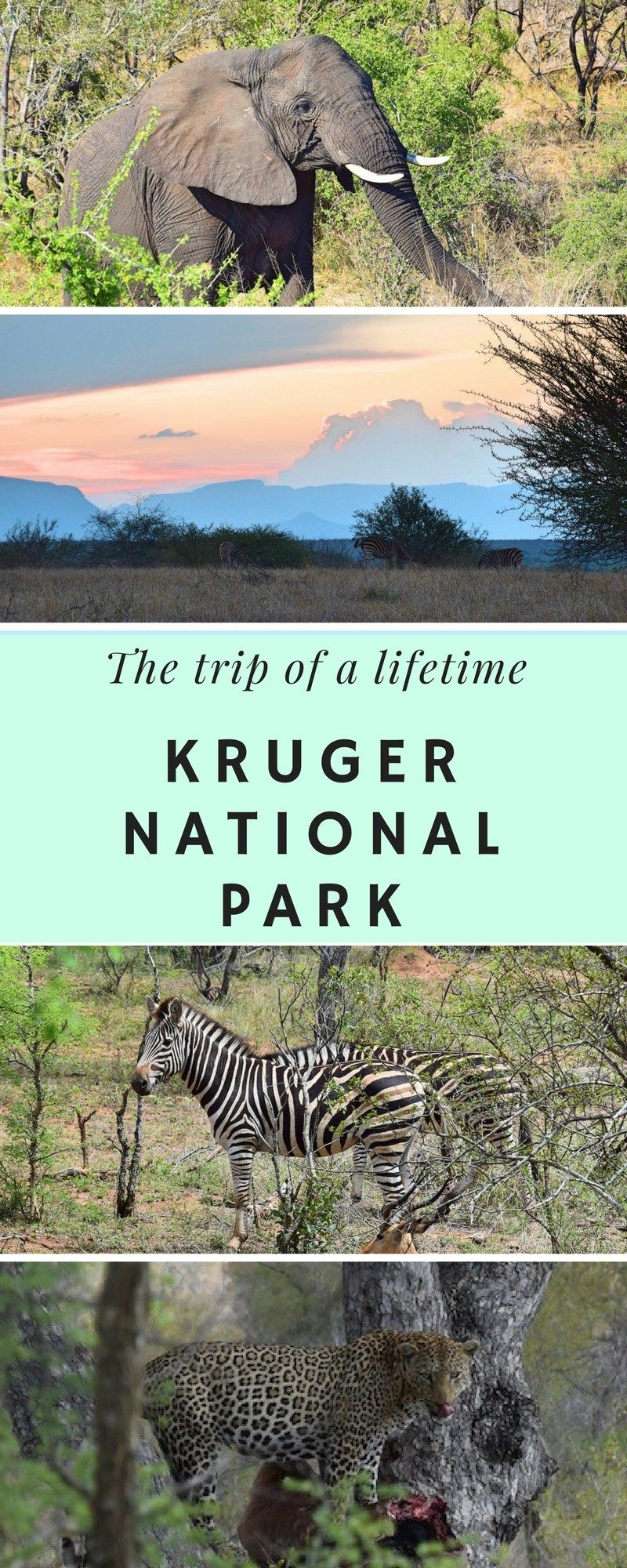 kruger national park safari reviews