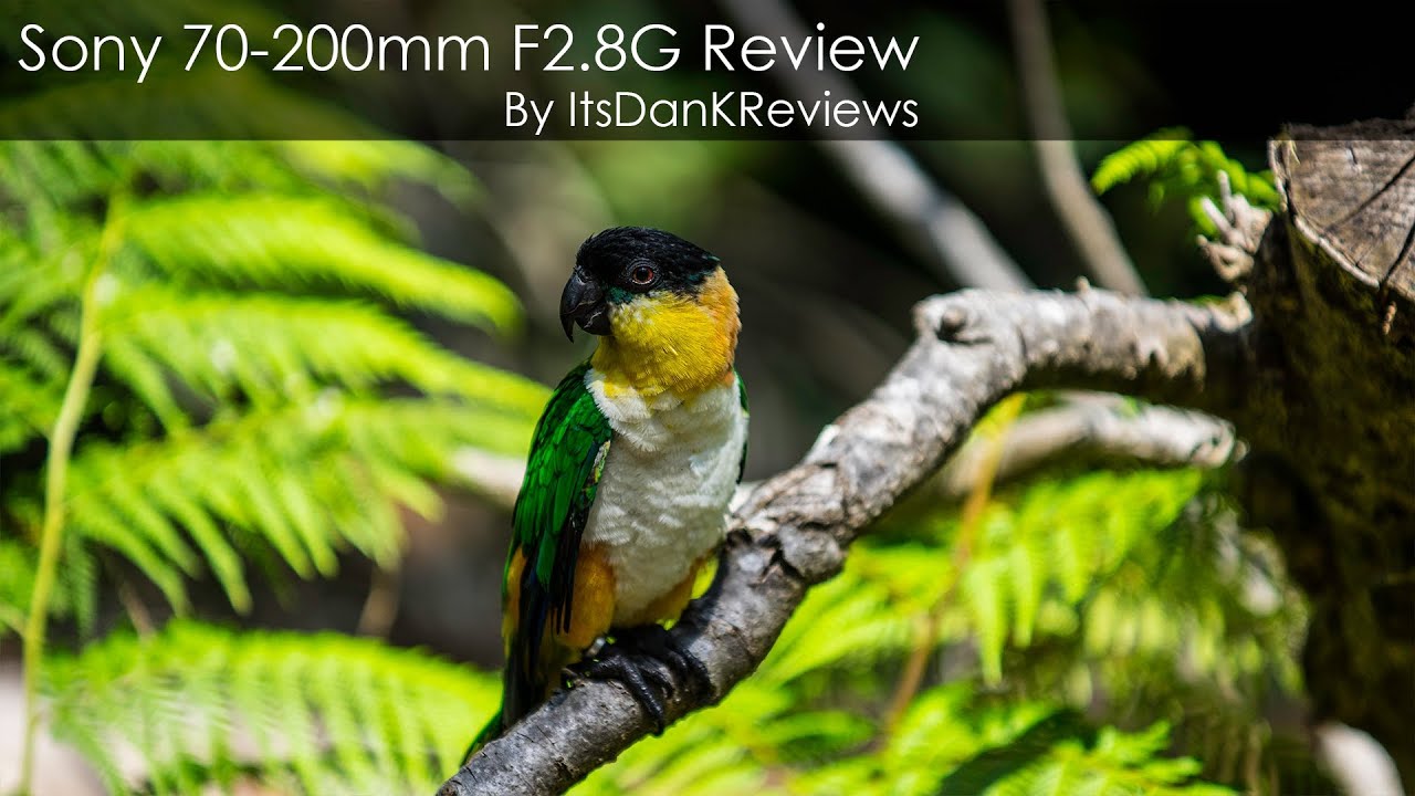 sony 70 200 f2 8 review