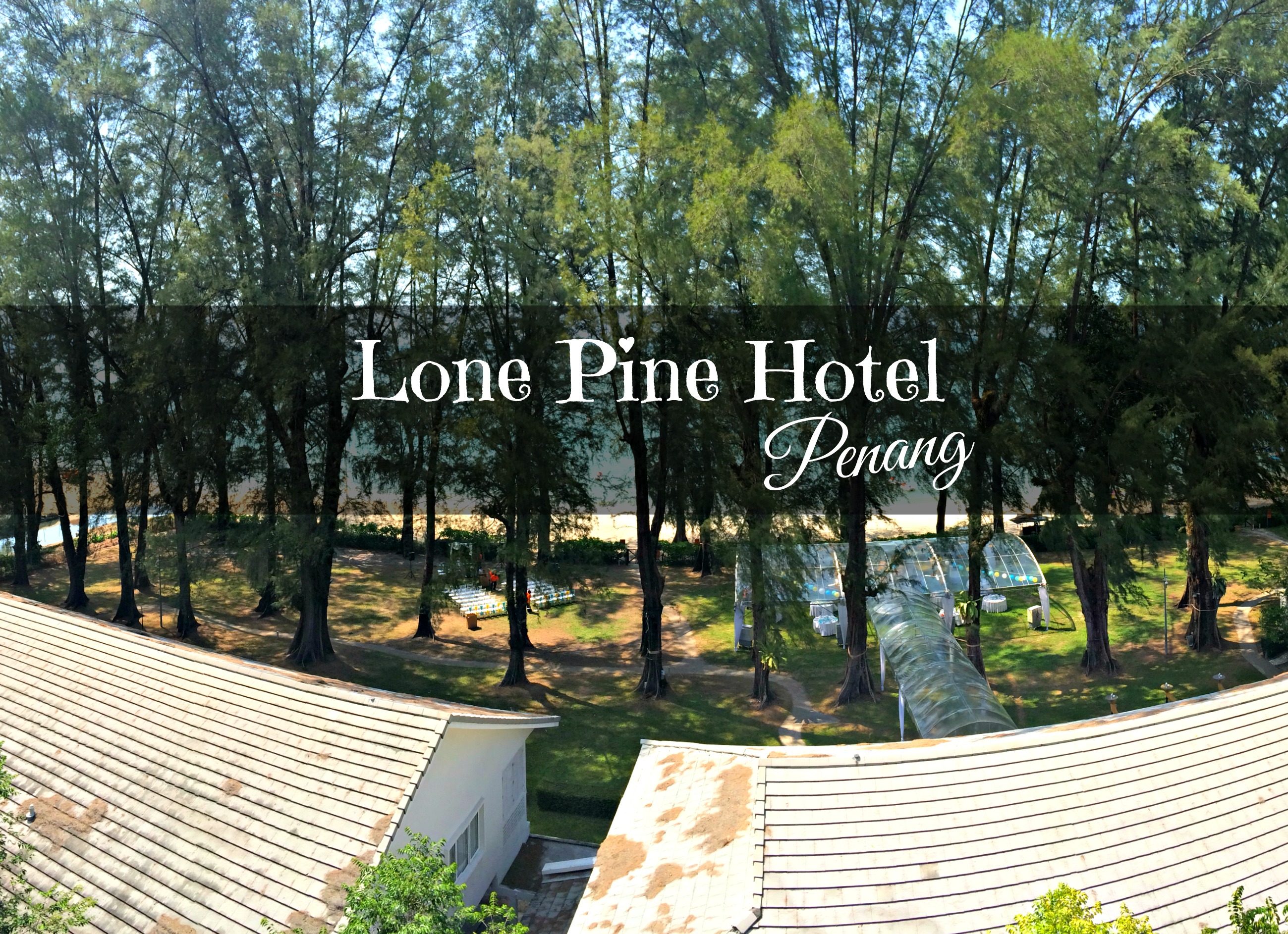 lone pine hotel penang review
